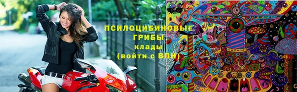 хмурый Алексеевка
