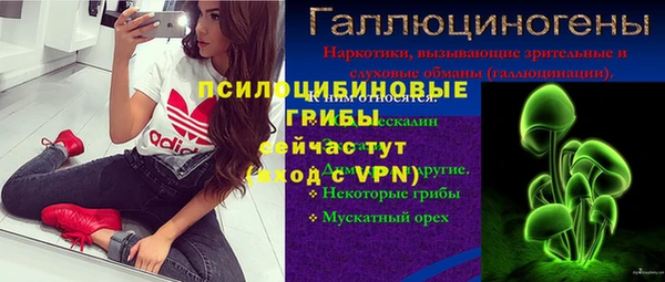 хмурый Алексеевка